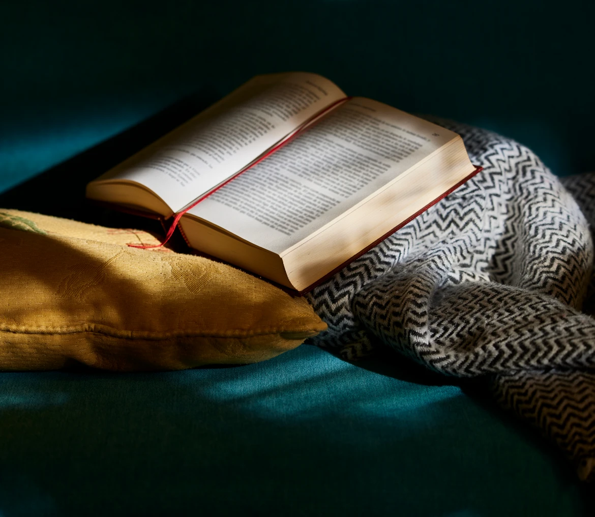 Book resting on a cushion in sunlight.