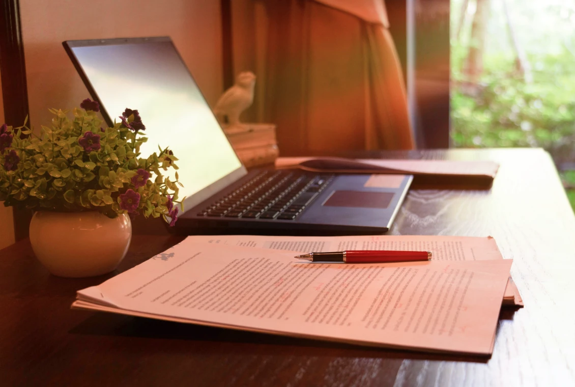 Desk with plant, laptop, and documents